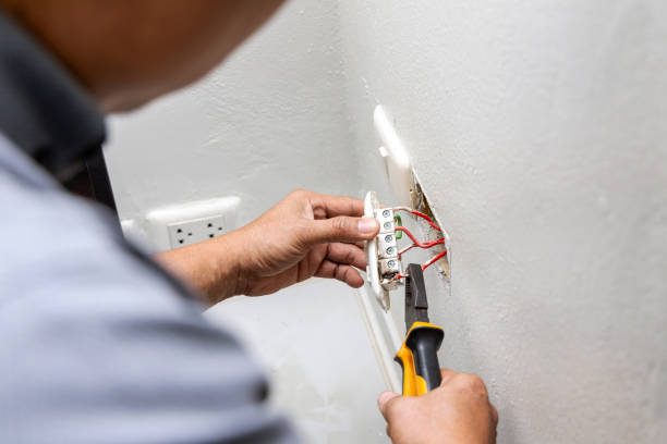 Best Local Electrician Companies  in Elk Creek, KY
